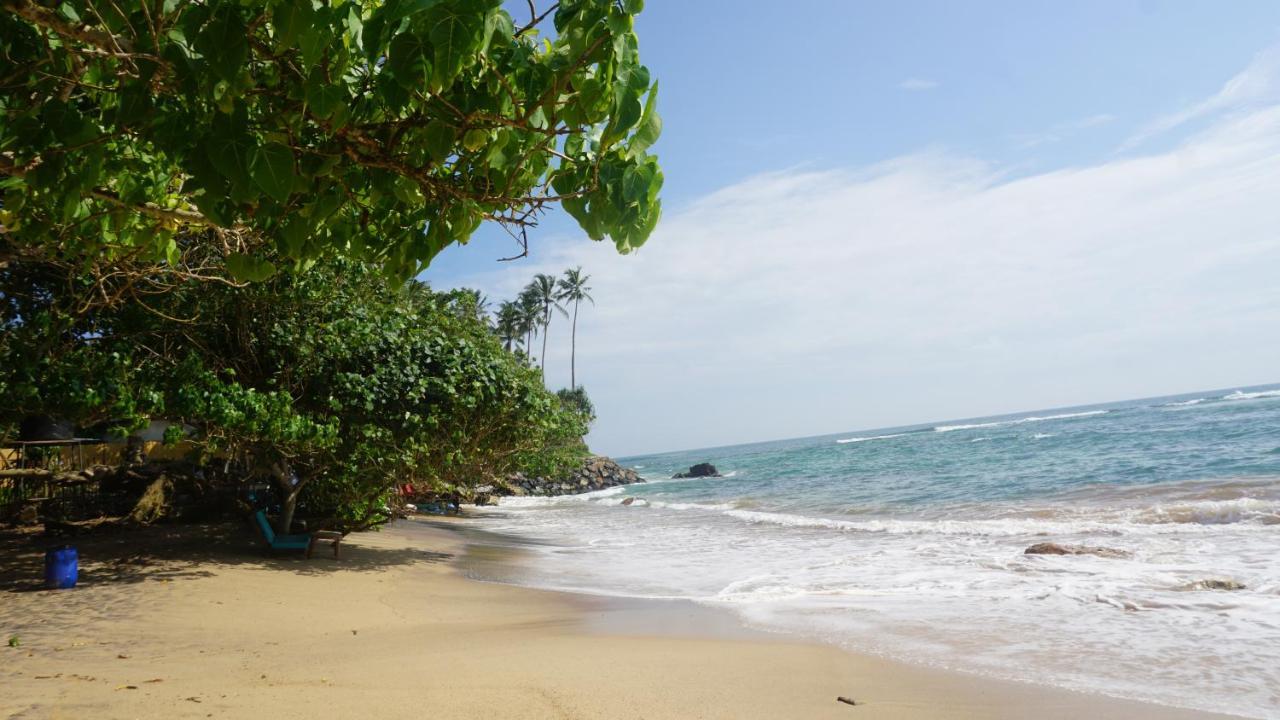 Hotel The Reef Weligama Zewnętrze zdjęcie